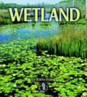 Wetland: First Step Habitats Series