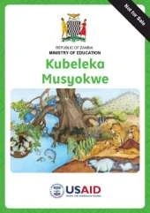 Busy in the Bush PRP Chitonga version