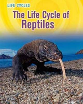 The Life Cycle of Reptiles