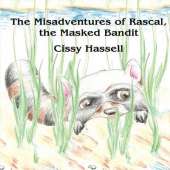 The Misadventures of Rascal, the Masked Bandit
