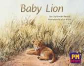 Baby Lion