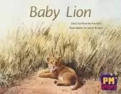 Baby Lion