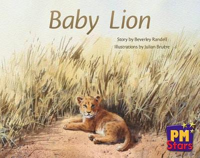 Baby Lion