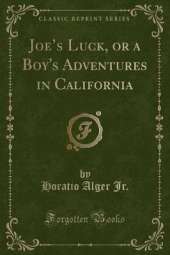 Joes Luck, or a Boy's Adventures in California (Classic Reprint)
