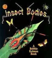 Insect Bodies