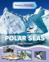 Watery Worlds: Polar Seas