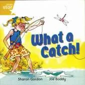 Rigby Star Independent Year 1 Yellow Book 8 Group Pack