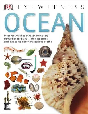 Ocean