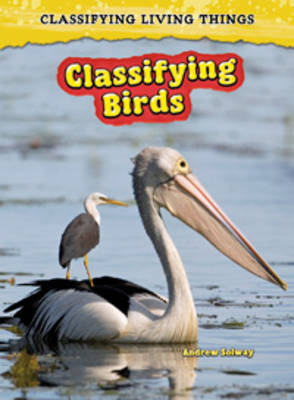 Classifying Birds