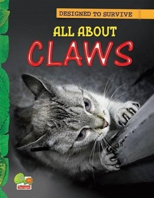 All About Claws: Key stage 1