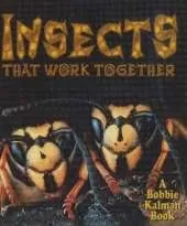 Insects That Work Together