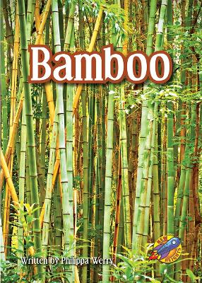 Bamboo