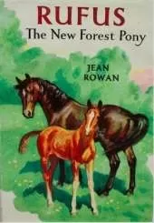Rufus: The New Forest Pony