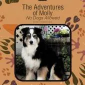 The Adventures of Molly: No Dogs Allowed
