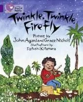 Twinkle, Twinkle, Firefly Workbook