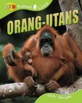 Orang-utans