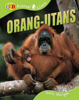 Orang-utans