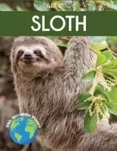 Sloth: Fascinating Animal Facts for Kids