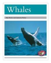 Whales