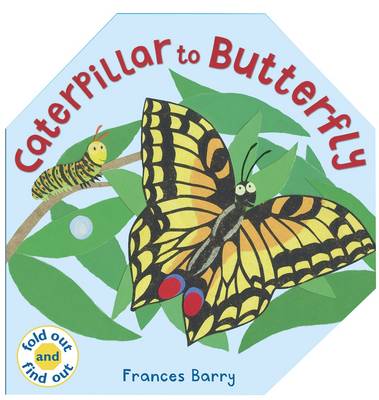 Caterpillar To Butterfly