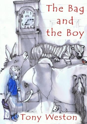 The Bag and the Boy