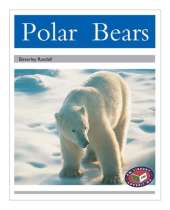 Polar Bears