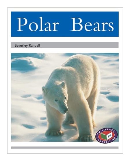 Polar Bears