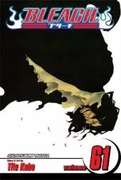 Bleach