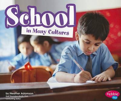 School in Many Cultures