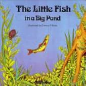 The Little Fish in a Big Pond