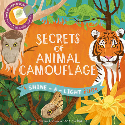 Shine a Light: Secrets of Animal Camouflage