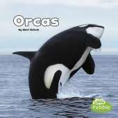 Black and White Animals Orcas