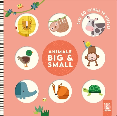Animals Big & Small: Over 60 Animals to Discover