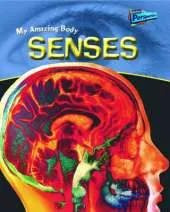Senses