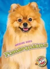 Pomeranians