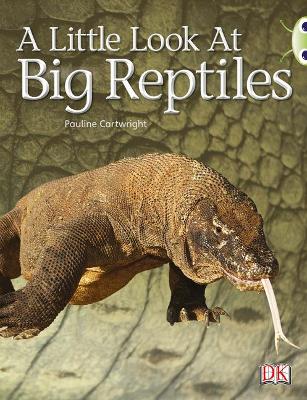 Bug Club Non-fiction Blue (KS1) B/1B A Little Look of Reptiles 6-pack