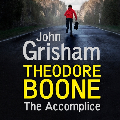 Theodore Boone: The Accomplice: Theodore Boone 7