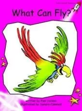 Red Rocket Readers: Emergent Fiction Set A: What Can Fly? (Reading Level 2/F&P Level B)