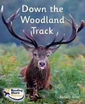 Down the Woodland Track: Phase 4