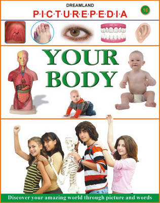 Picturepedia Your Body