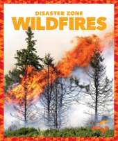 Wildfires