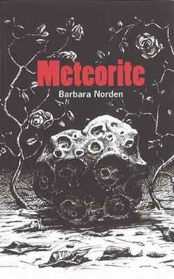 Meteorite