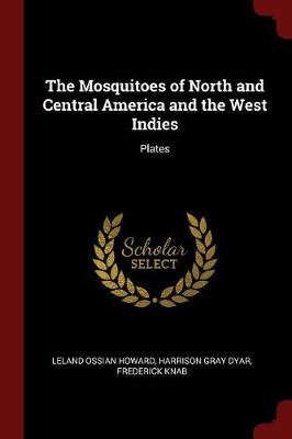 The Mosquitoes of North and Central America and the West Indies: Plates