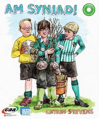 Y Senedd/Am Syniad!