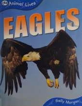 Eagles