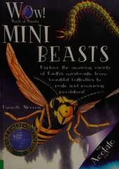 Mini Beasts