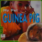 Guinea Pig