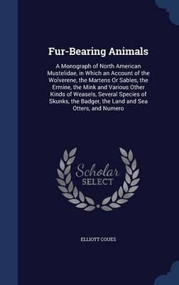 Fur-Bearing Animals: A Monograph of North American Mustelidae, in Which an Account of the Wolverene, the Martens or Sables, the Ermine, the Mink and Various Other Kinds of Weasels, Several Species of Skunks, the Badger, the Land and Sea Otters, and Numero