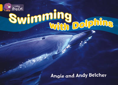 Swimming with Dolphins Workbook