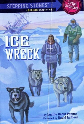 Ice Wreck